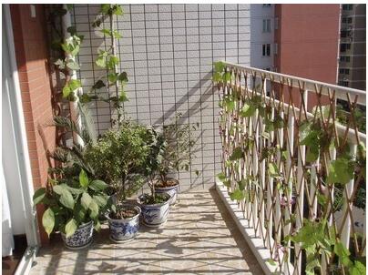 一樓的后花園 設(shè)計(jì)富有自然情調(diào)的籬笆